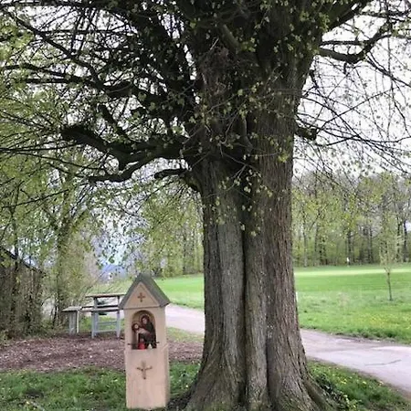Knochenhaus *